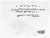 Image Associated With the Occurence